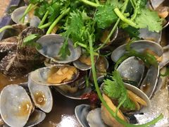 炒花蛤-老虎滩大连海鲜烧烤(建邺云锦路总店)