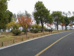 -漕湖湿地公园