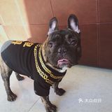 时间长看见你就跑 我家狗倒不至于看见我就跑