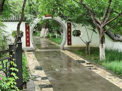-桃花堤公园