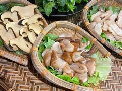 -滇野云南野生菌餐厅(陕西南路店)