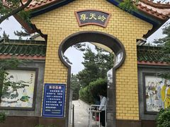 -摩天岭风景区