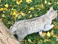 -郑和公园
