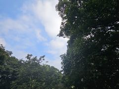 -海口火山口国家地质公园