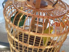 -老湘亲·品鉴湘菜(蔡塘爱琴海店)