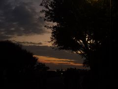 -深圳湾公园(南山区)