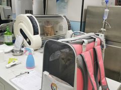 -中农国际动物医院24小时·猫科·骨科·急重症中心