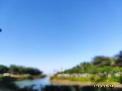 -万绿园