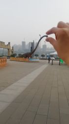 -恐龙探索乐园(磁器口店)