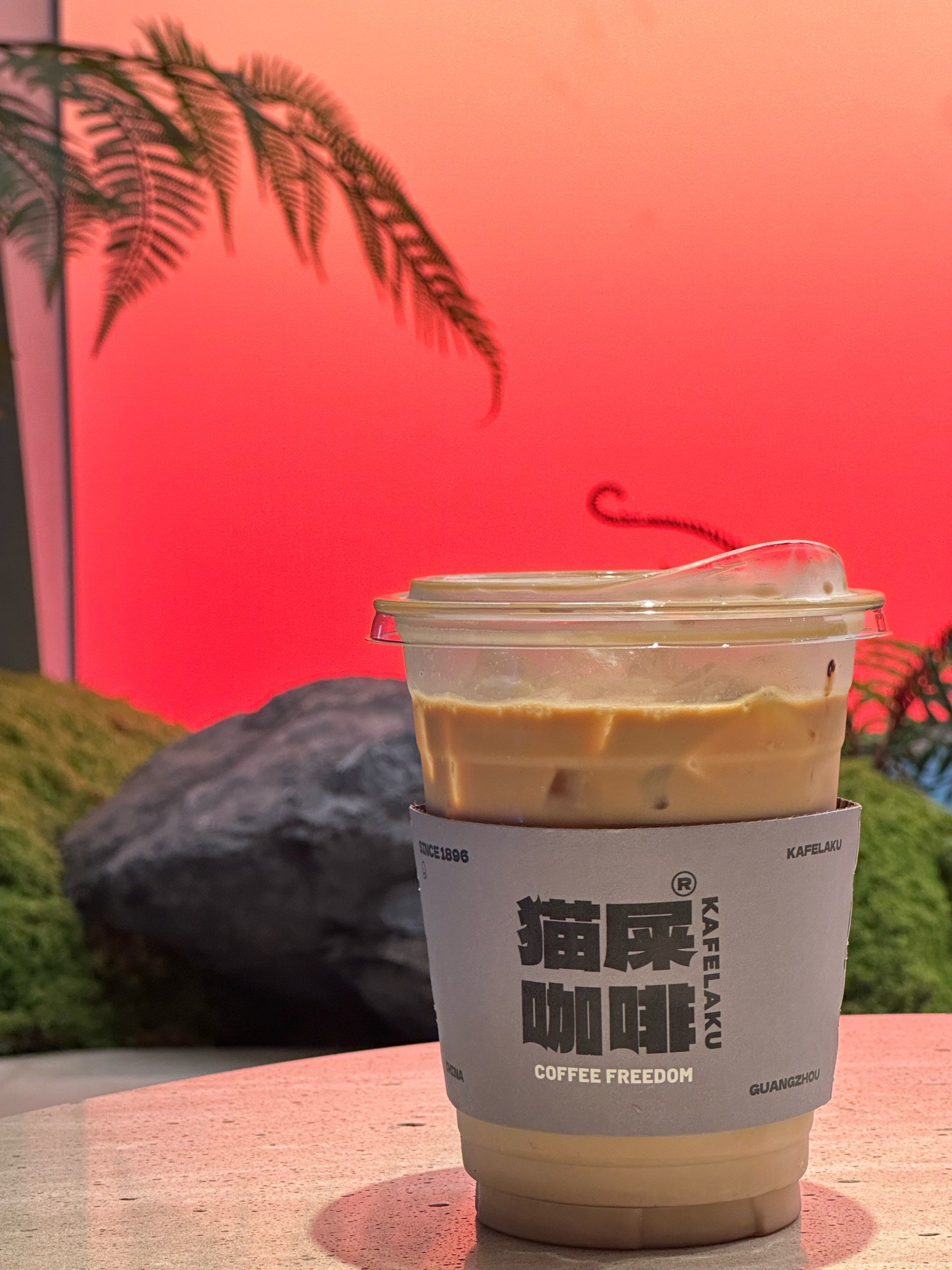 沙面探店猫屎咖啡75