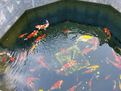 -西安市广仁寺