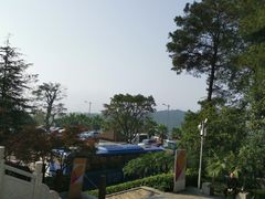 -铁山坪森林公园