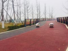 -府河摄影公园