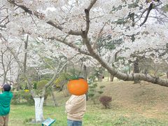 -青岛海滨风景区