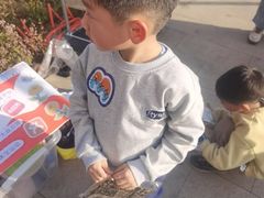 -侎宝运动成长中心(嘉定大融城店)