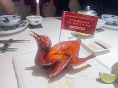 -侨美食家·41年地道粤菜(恒福路店)