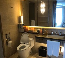 -巍阁高端月子会所