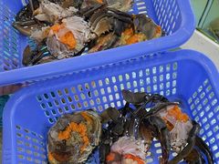 -南海渔家•海鲜•正宗海南菜(海棠湾店)