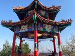 -白水寺森林公园