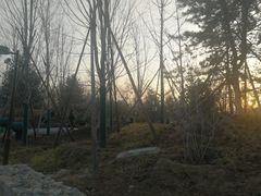 -回龙观体育文化公园