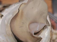 -锅老头铁锅炖•大锅蒸汽海鲜(韩乐坊店)