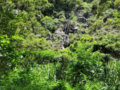 -梧桐山风景名胜区