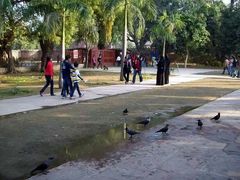 -英迪拉·甘地国际机场