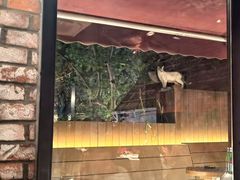 -弗兰克牛排西餐厅Ribone steak house(柠檬花园店)