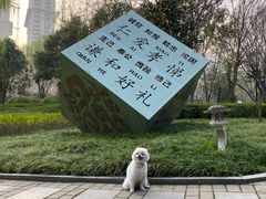 -木塔寺遗址生态公园