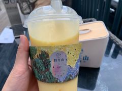 -野萃山·潮汕厚果汁(十亩地店)
