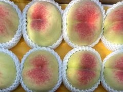 -老袁家蜜桃农场·阳山水蜜桃