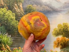 星空流沙包-LELECHA乐乐茶(新街口大洋店)