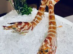 斑节虾皇-洋房火锅(新天地店)