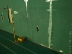 -东丽温泉羽毛球