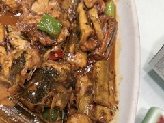 -海派美食·家宴海鲜青岛菜·石锅鲽鱼头(东方城店)