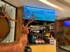 -新白鹿餐厅(虹桥南丰城店)