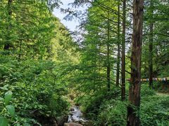 -东天目山风景区