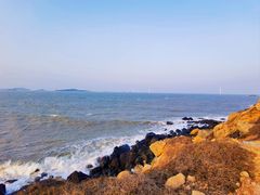 -长江澳风力发电景观区