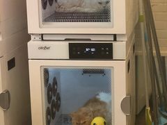 -PETKIT小佩宠物(古北店)