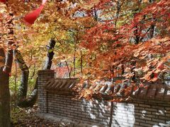 -龙道沟景区