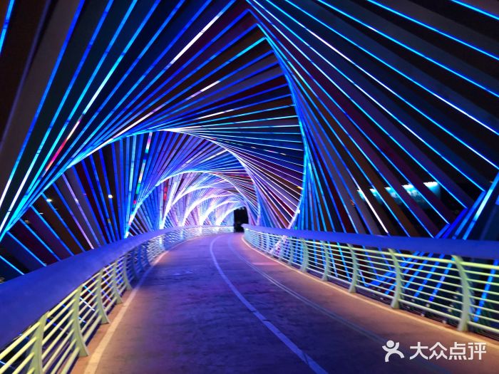 琴岛之星摩天轮图片