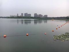-暨阳湖生态园