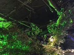 -胖老汉新疆特色椒麻鸡(南门店)