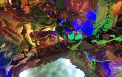 -恐龙探索乐园(磁器口店)