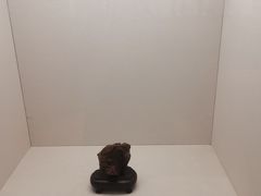 -中国沉香文化博物馆