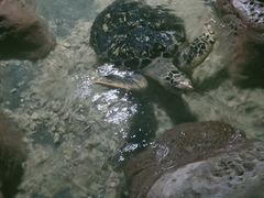 -南昌海洋公园
