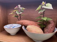 -魅莲·新中式糖水(广州塔店)