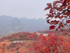 -周口店坡峰岭风景区