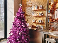 -Seesaw Coffee(88铜仁路店)