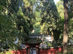-武侯墓风景区